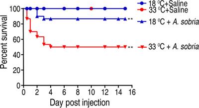 Myo-Inositol Restores Tilapia’s Ability Against Infection by Aeromonas sobria in Higher Water Temperature